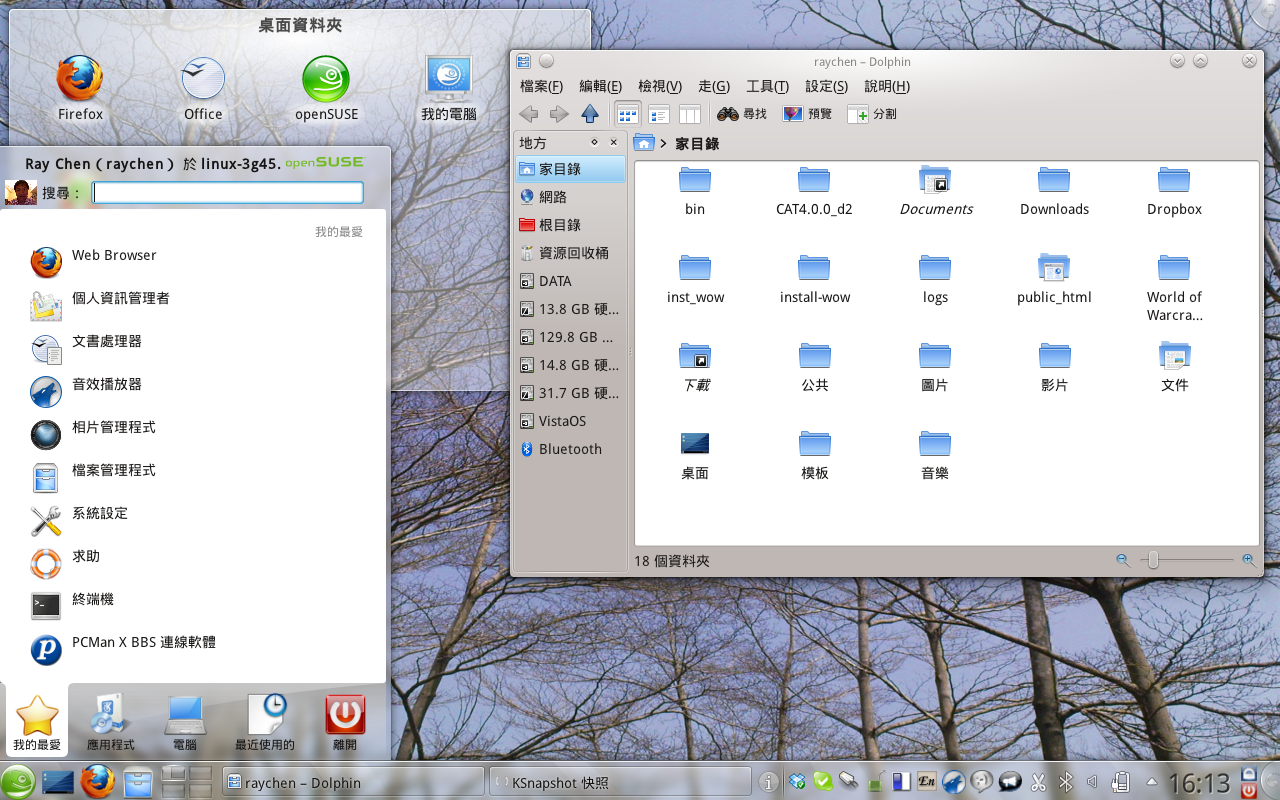 11.4 dolphin desktop.png